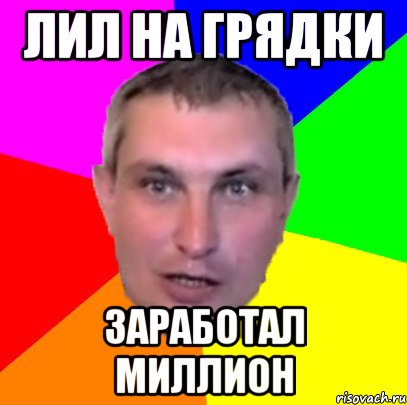 лил на грядки заработал миллион