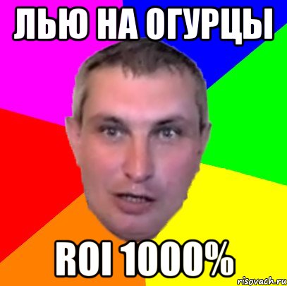 лью на огурцы roi 1000%
