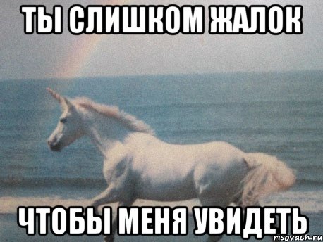 ты слишком жалок чтобы меня увидеть