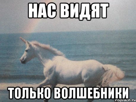 нас видят только волшебники