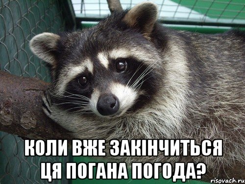  коли вже закінчиться ця погана погода?