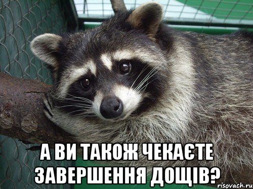  а ви також чекаєте завершення дощів?