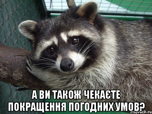  а ви також чекаєте покращення погодних умов?