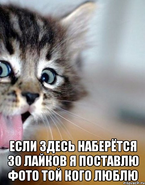  если здесь наберётся 30 лайков я поставлю фото той кого люблю