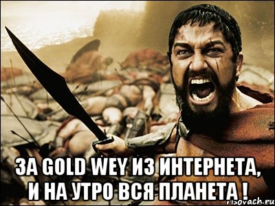  за gold wey из интернета, и на утро вся планета !, Мем Это Спарта