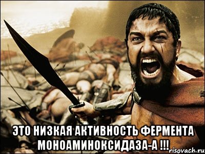  это низкая активность фермента моноаминоксидаза-а !!!, Мем Это Спарта