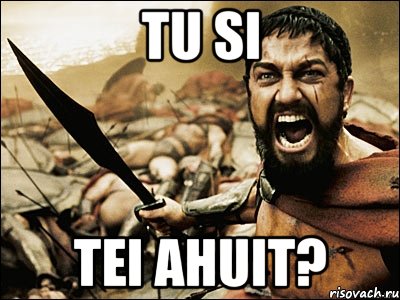 tu si tei ahuit?, Мем Это Спарта