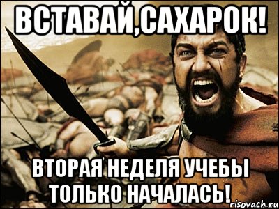 вставай,сахарок! вторая неделя учебы только началась!, Мем Это Спарта