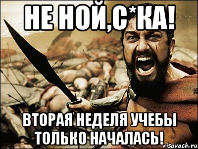 не ной,с*ка! вторая неделя учебы только началась!, Мем Это Спарта