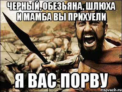 черный, обезьяна, шлюха и мамба вы прихуели я вас порву, Мем Это Спарта