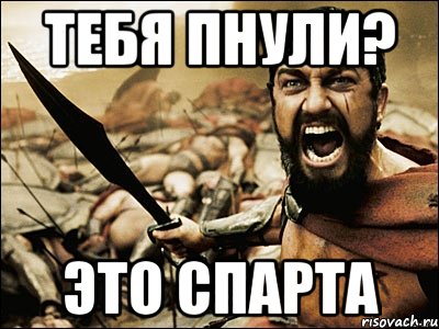 тебя пнули? это спарта, Мем Это Спарта