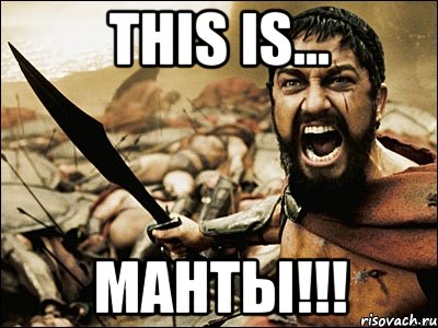 this is... манты!!!, Мем Это Спарта