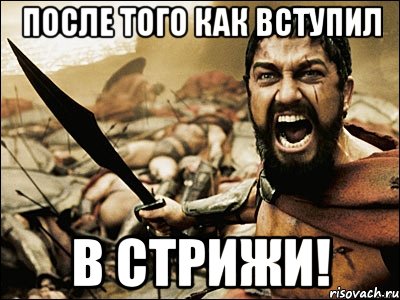 после того как вступил в стрижи!, Мем Это Спарта