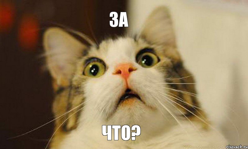 ЗА ЧТО?
