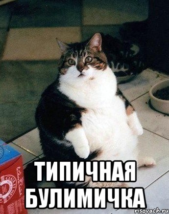  типичная булимичка