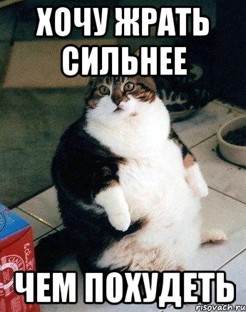 хочу жрать сильнее чем похудеть