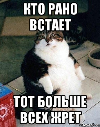 кто рано встает тот больше всех жрет