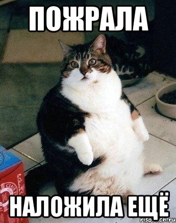 пожрала наложила ещё