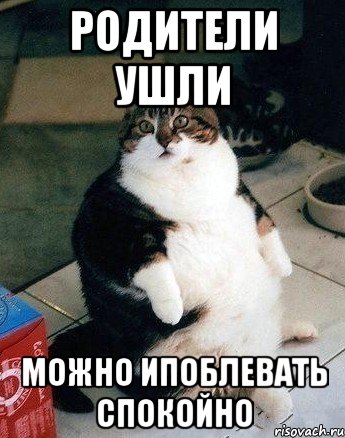 родители ушли можно ипоблевать спокойно