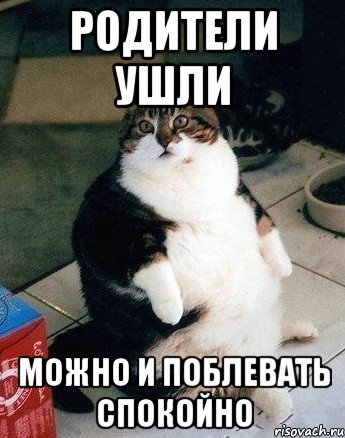 родители ушли можно и поблевать спокойно