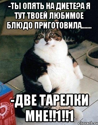 -ты опять на диете?а я тут твоей любимое блюдо приготовила....... -две тарелки мне!!1!!1