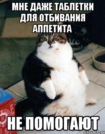 мне даже таблетки для отбивания аппетита не помогают