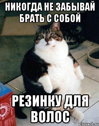никогда не забывай брать с собой резинку для волос