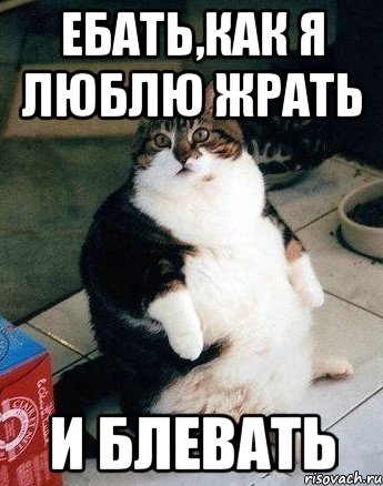 ебать,как я люблю жрать и блевать