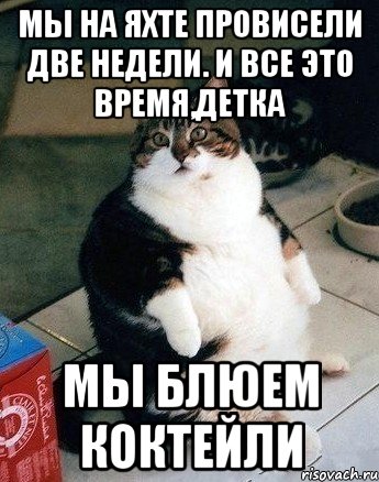мы на яхте провисели две недели. и все это время,детка мы блюем коктейли