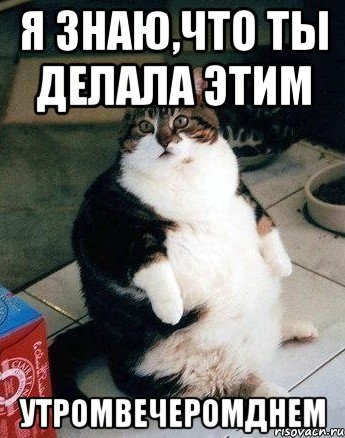 я знаю,что ты делала этим утромвечеромднем