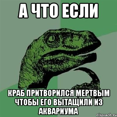 а что если краб притворился мертвым чтобы его вытащили из аквариума, Мем Филосораптор