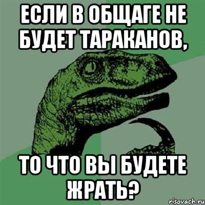 если в общаге не будет тараканов, то что вы будете жрать?, Мем Филосораптор