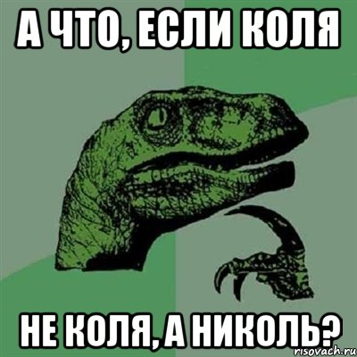 а что, если коля не коля, а николь?, Мем Филосораптор