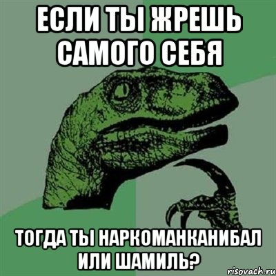 если ты жрешь самого себя тогда ты наркоманканибал или шамиль?, Мем Филосораптор