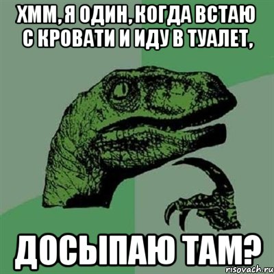 хмм, я один, когда встаю с кровати и иду в туалет, досыпаю там?, Мем Филосораптор