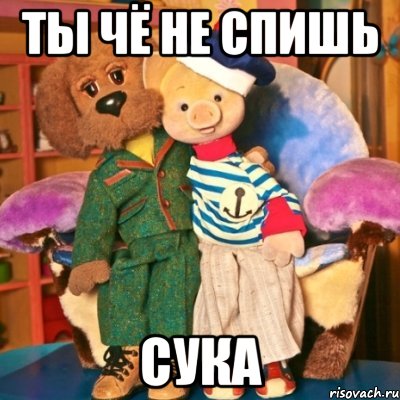ты чё не спишь сука