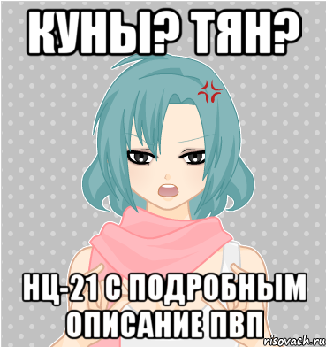 куны? тян? нц-21 с подробным описание пвп