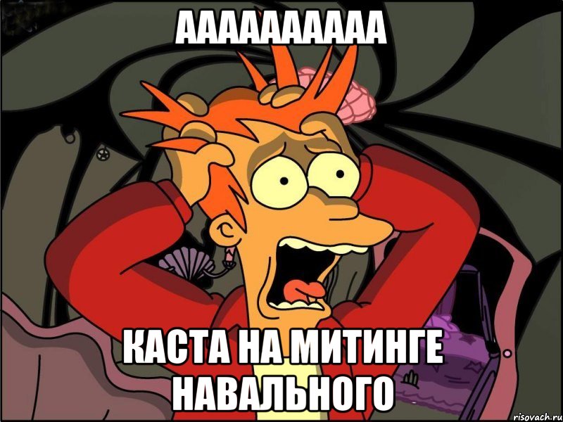 аааааааааа каста на митинге навального, Мем Фрай в панике