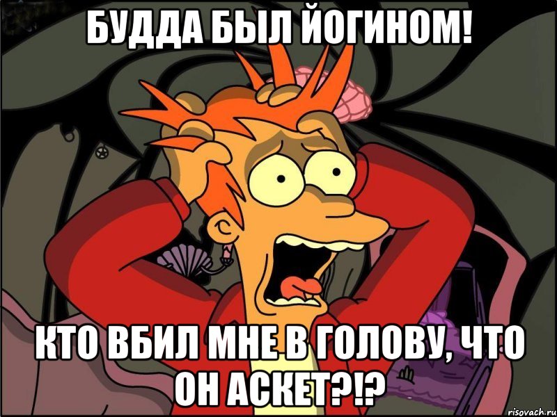 будда был йогином! кто вбил мне в голову, что он аскет?!?, Мем Фрай в панике