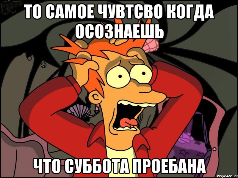 то самое чувтсво когда осознаешь что суббота проебана, Мем Фрай в панике