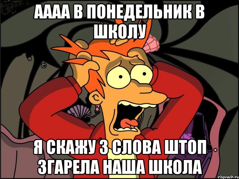 аааа в понедельник в школу я скажу 3 слова штоп згарела наша школа, Мем Фрай в панике