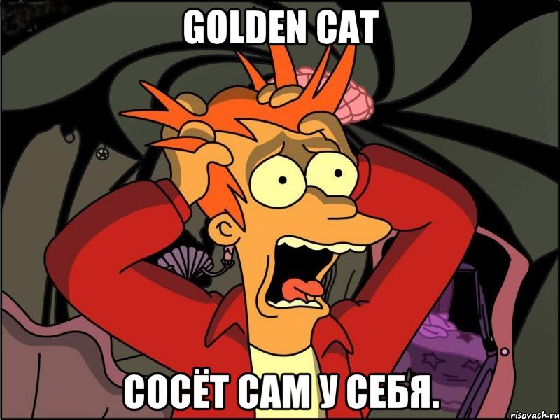 golden cat сосёт сам у себя., Мем Фрай в панике