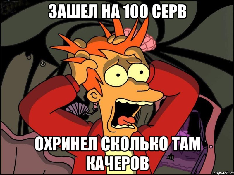 зашел на 100 серв охринел сколько там качеров, Мем Фрай в панике