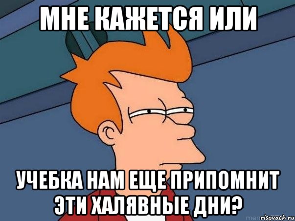 мне кажется или учебка нам еще припомнит эти халявные дни?, Мем  Фрай (мне кажется или)