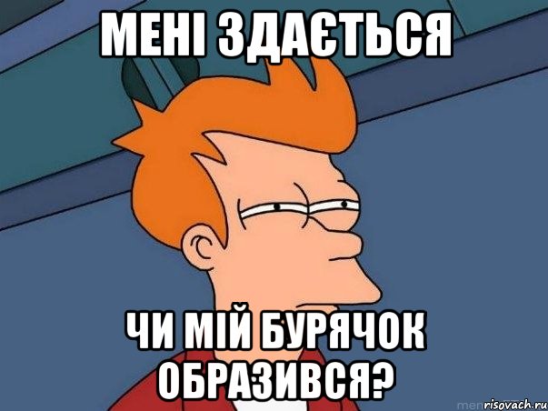 мені здається чи мій бурячок образився?, Мем  Фрай (мне кажется или)