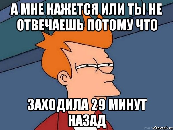 а мне кажется или ты не отвечаешь потому что заходила 29 минут назад, Мем  Фрай (мне кажется или)