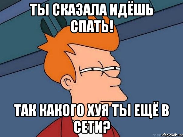 ты сказала идёшь спать! так какого хуя ты ещё в сети?, Мем  Фрай (мне кажется или)