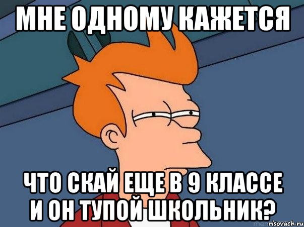 мне одному кажется что скай еще в 9 классе и он тупой школьник?, Мем  Фрай (мне кажется или)