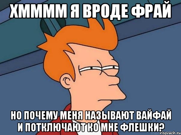 хмммм я вроде фрай но почему меня называют вайфай и потключают ко мне флешки?, Мем  Фрай (мне кажется или)