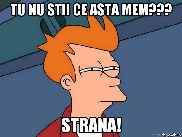 tu nu stii ce asta mem??? strana!, Мем  Фрай (мне кажется или)